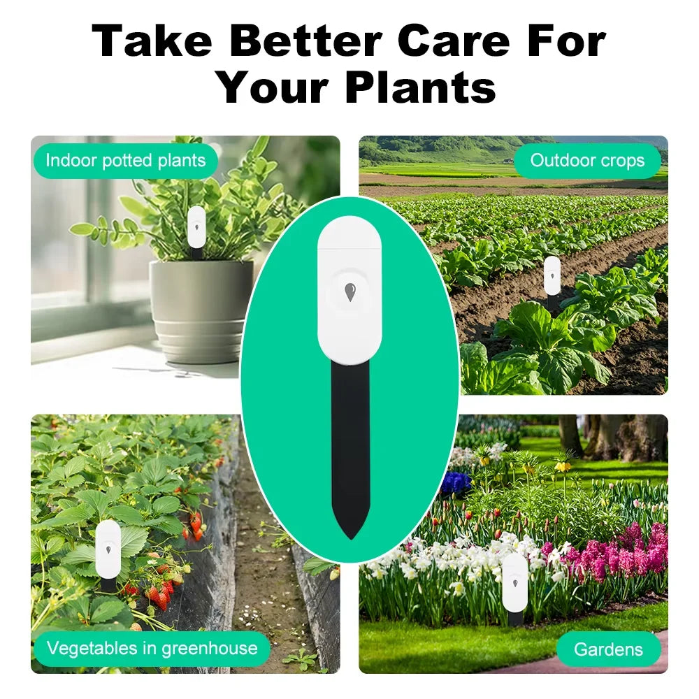 Smart Plant Moisture Meter